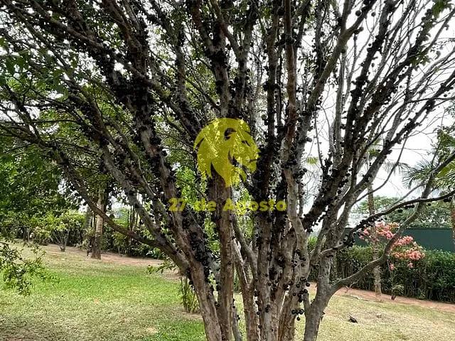 Casa com 360m² 3 quartos e 5 banheiros, à venda, no bairro Jardim São Domingos em Marília