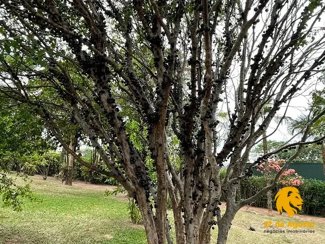 Casa com 360m² 3 quartos e 5 banheiros, à venda, no bairro Jardim São Domingos em Marília