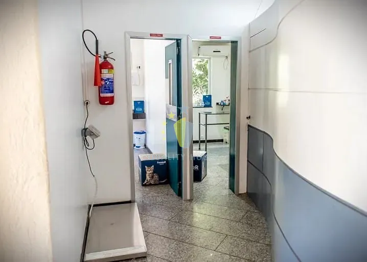 Casa, 1 quarto, 450 m² - Foto 31