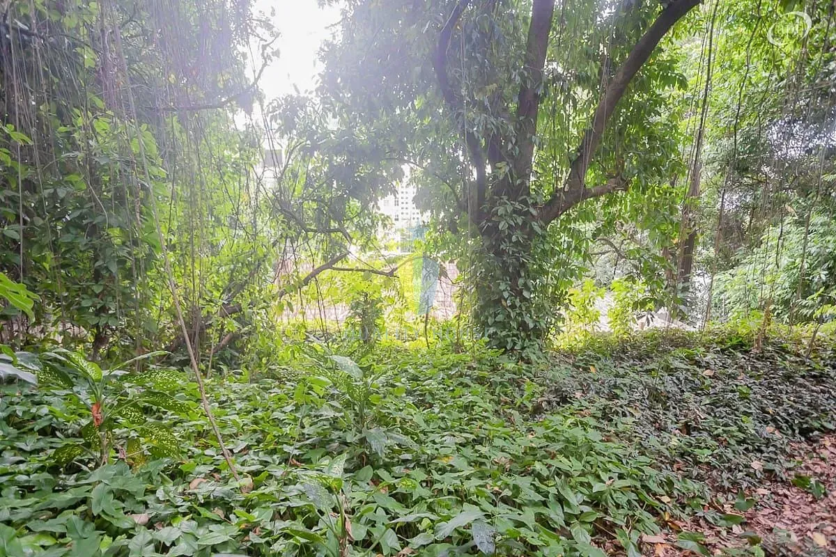 Casa, 1 quarto, 450 m² - Foto 42