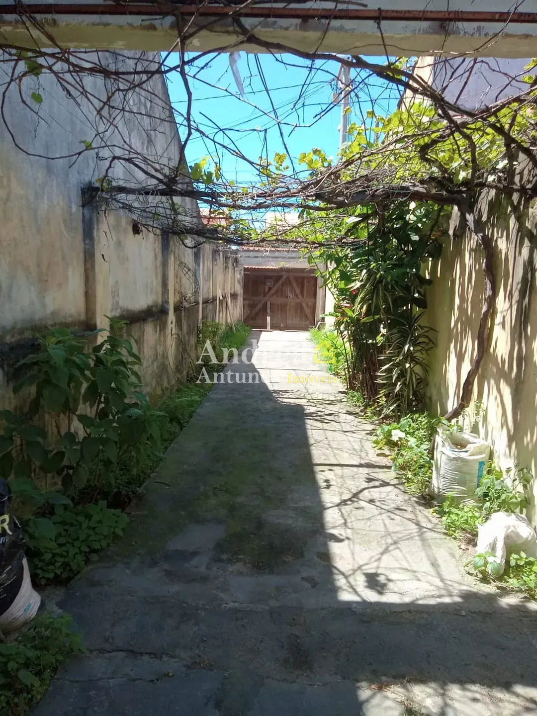 Casa, 3 quartos, 10 m² - Foto 3