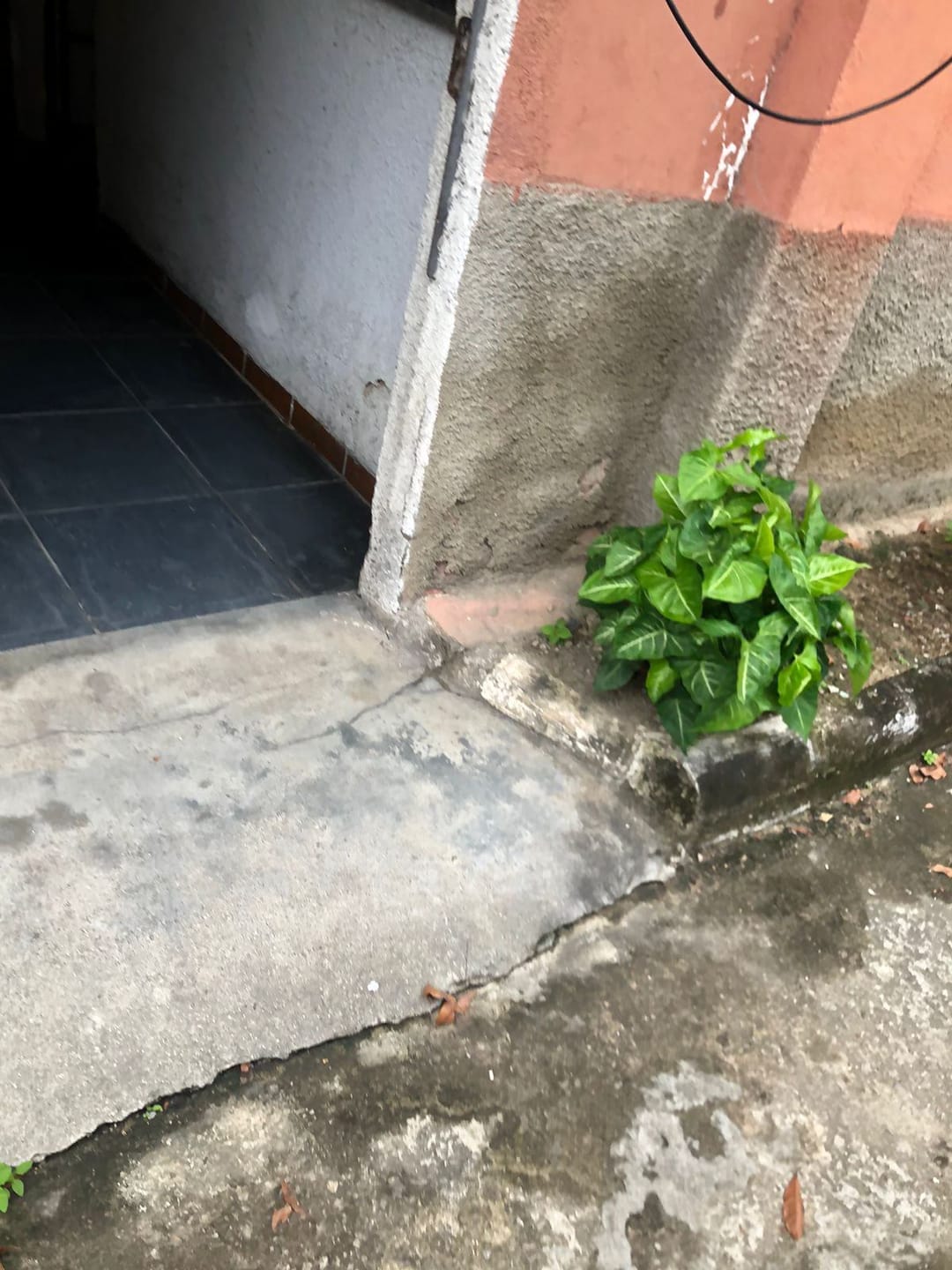 Casa para alugar com 1 quarto, 40m² - Foto 21