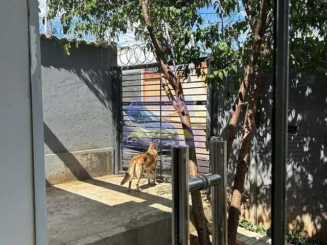 Casa 3 quartos e 1 banheiro, à venda, no bairro Bálsamos em Itabira