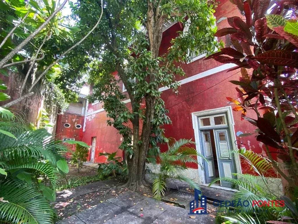 Casa, 4 quartos, 402 m² - Foto 11