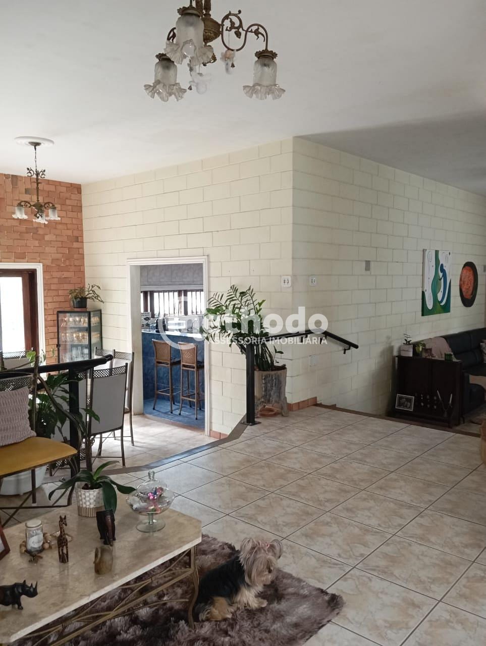 Casa, 4 quartos, 293 m² - Foto 24