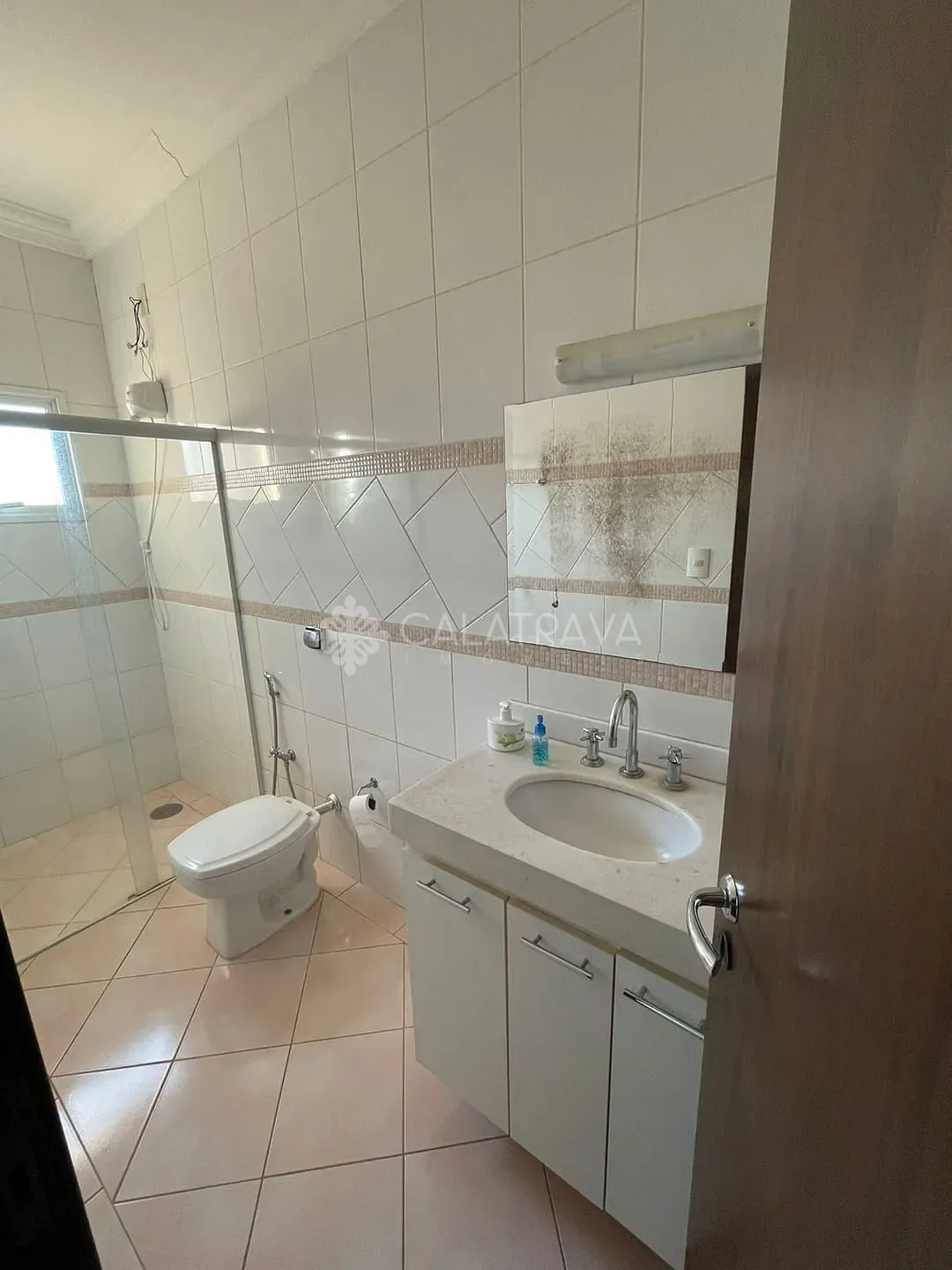 Casa, 5 quartos, 335 m² - Foto 24