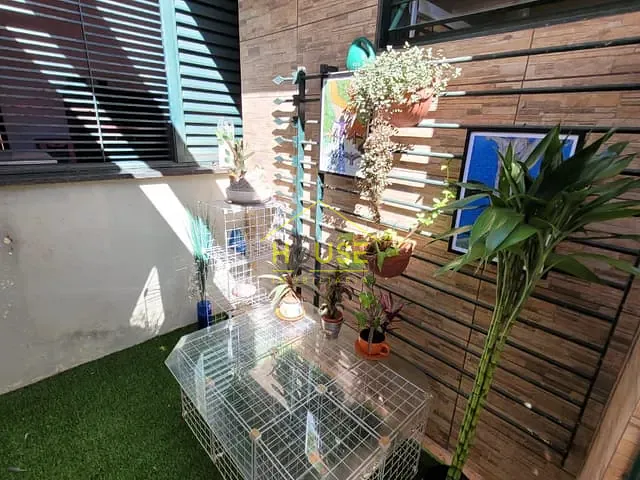 Casa com 3600m² 5 quartos e 6 banheiros, à venda, no bairro Patrimônio Velho em Votuporanga