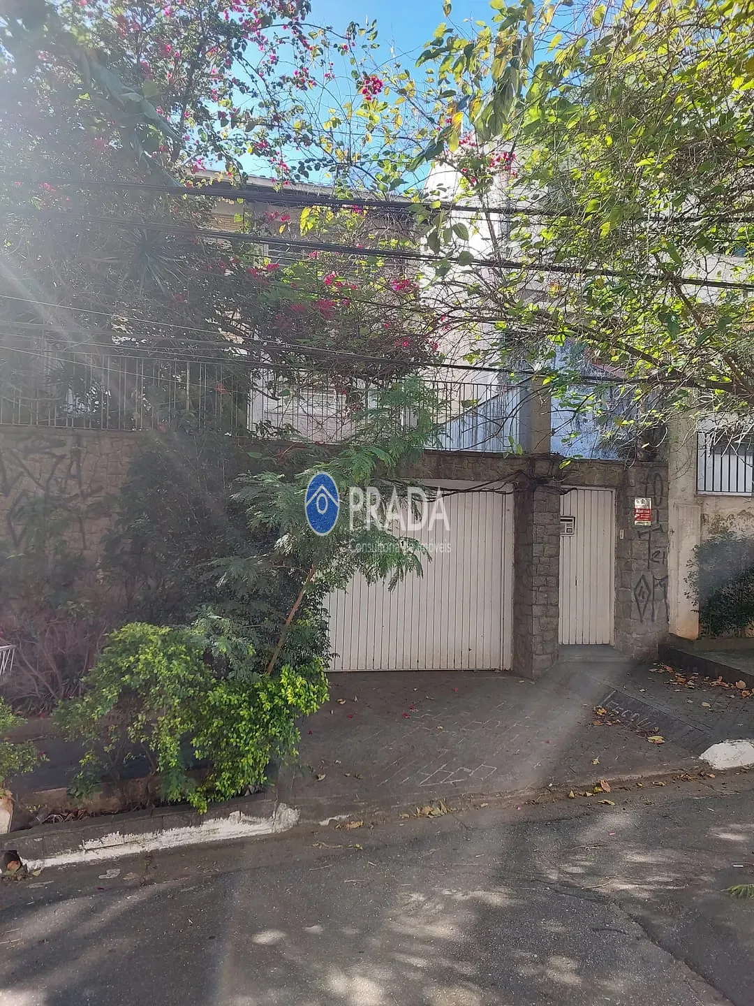 Casa, 1 quarto, 262 m² - Foto 2