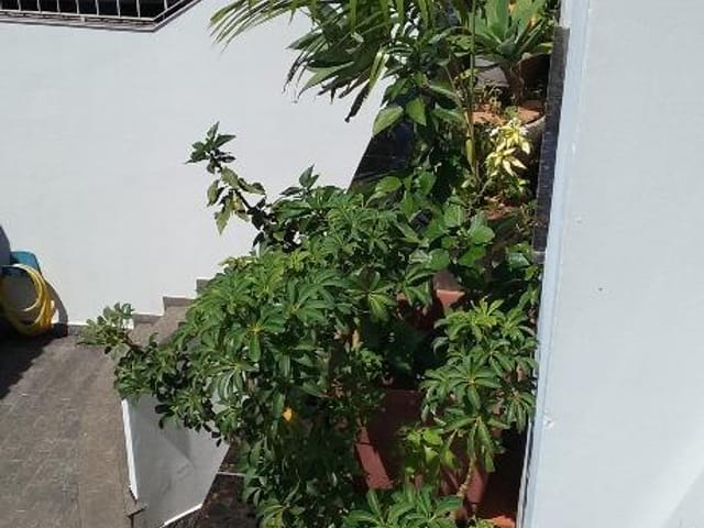 Casa com 363m² 3 quartos e 4 banheiros, à venda, no bairro Bortolândia em São Paulo