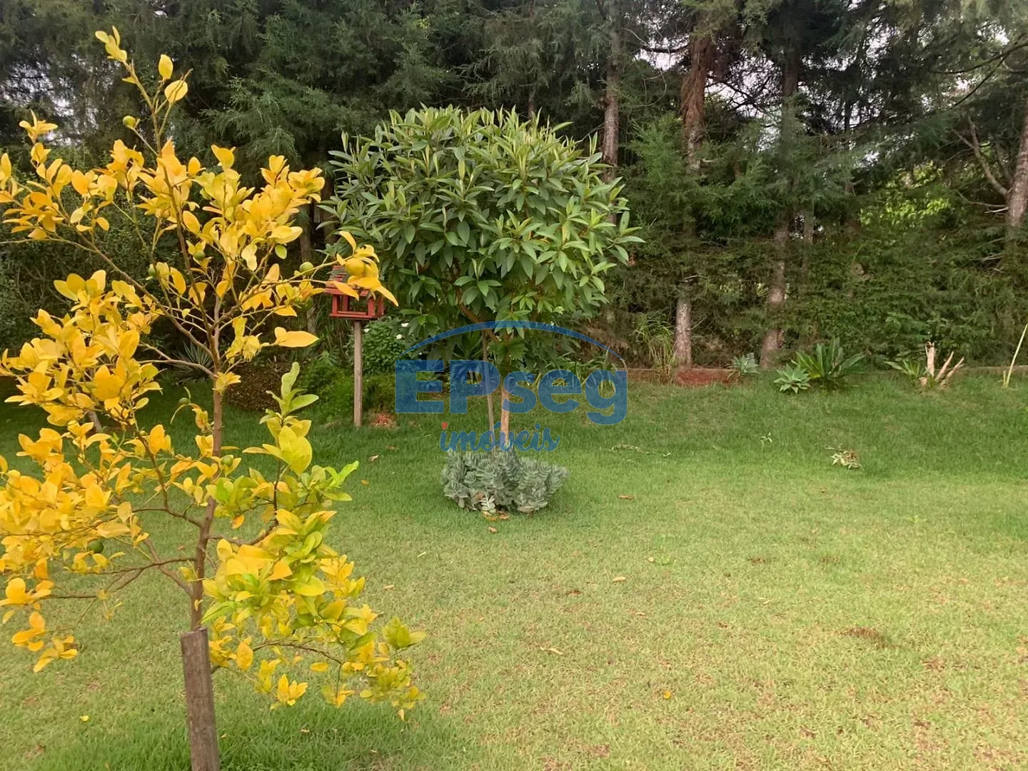 Casa, 5 quartos, 540 m² - Foto 53