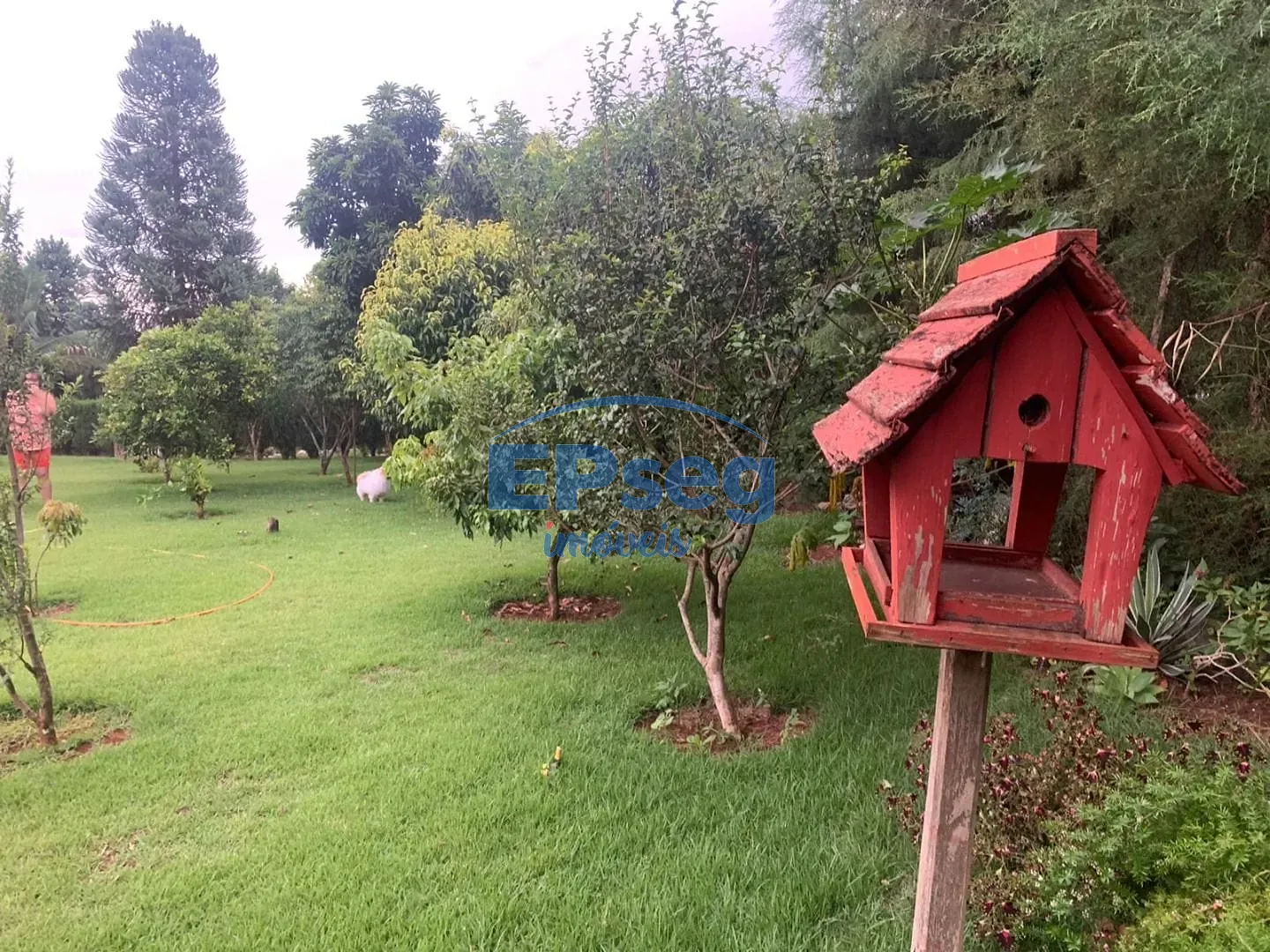 Casa, 5 quartos, 540 m² - Foto 54