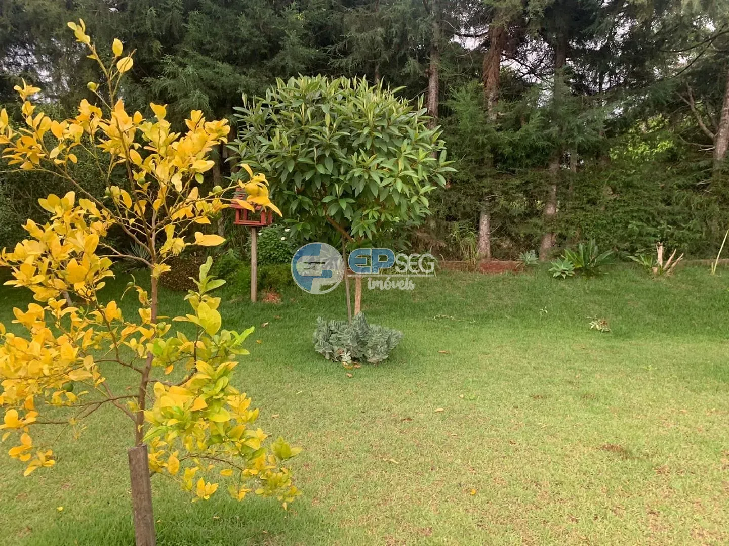 Casa, 5 quartos, 540 m² - Foto 53