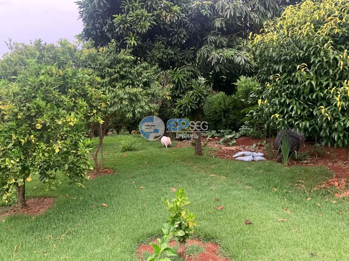 Casa, 5 quartos, 540 m² - Foto 51