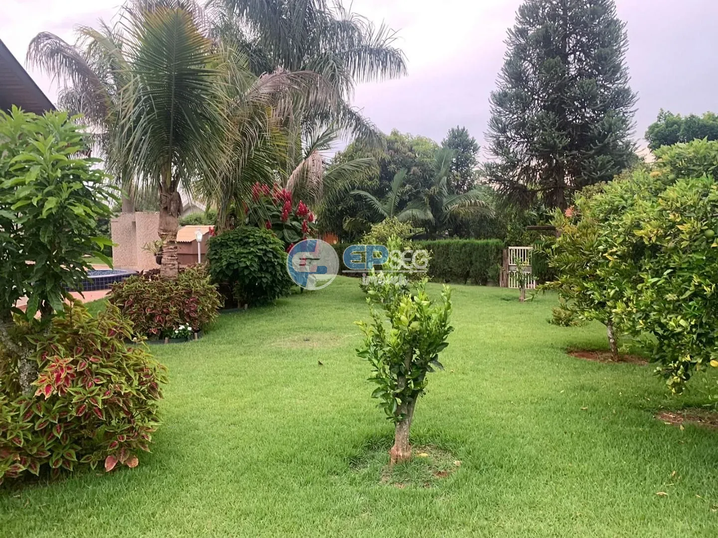 Casa, 5 quartos, 540 m² - Foto 52