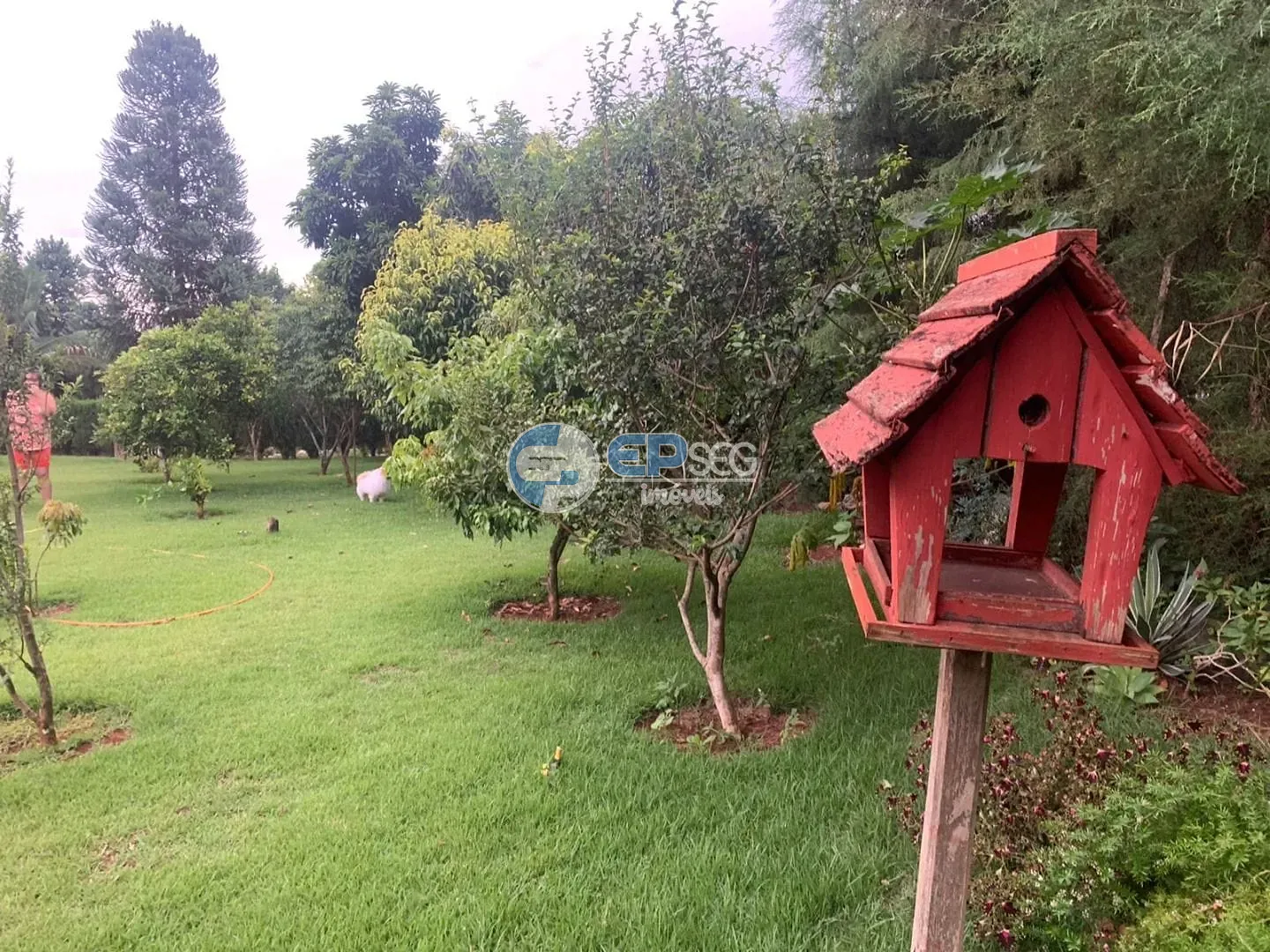 Casa, 5 quartos, 540 m² - Foto 54