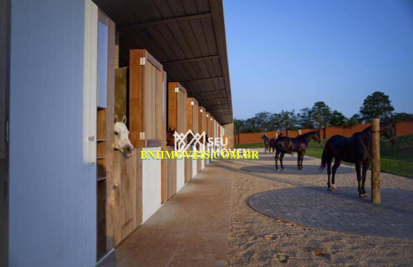 Casa, 5 quartos, 780 m² - Foto 14