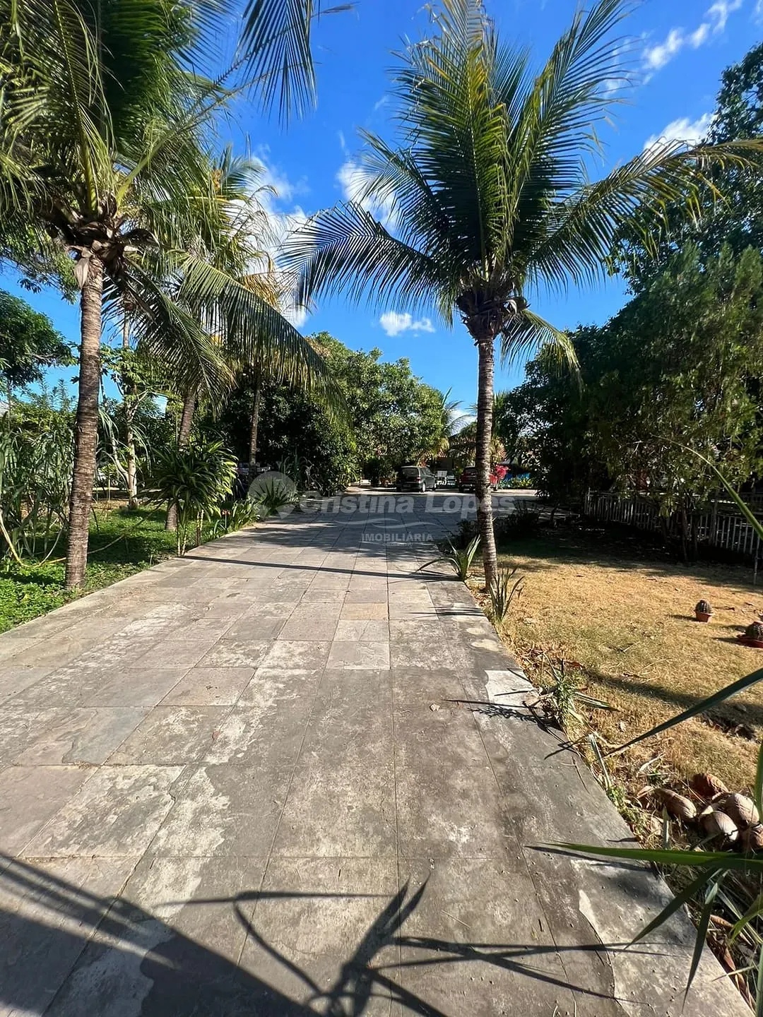 Casa, 4 quartos, 490 m² - Foto 4