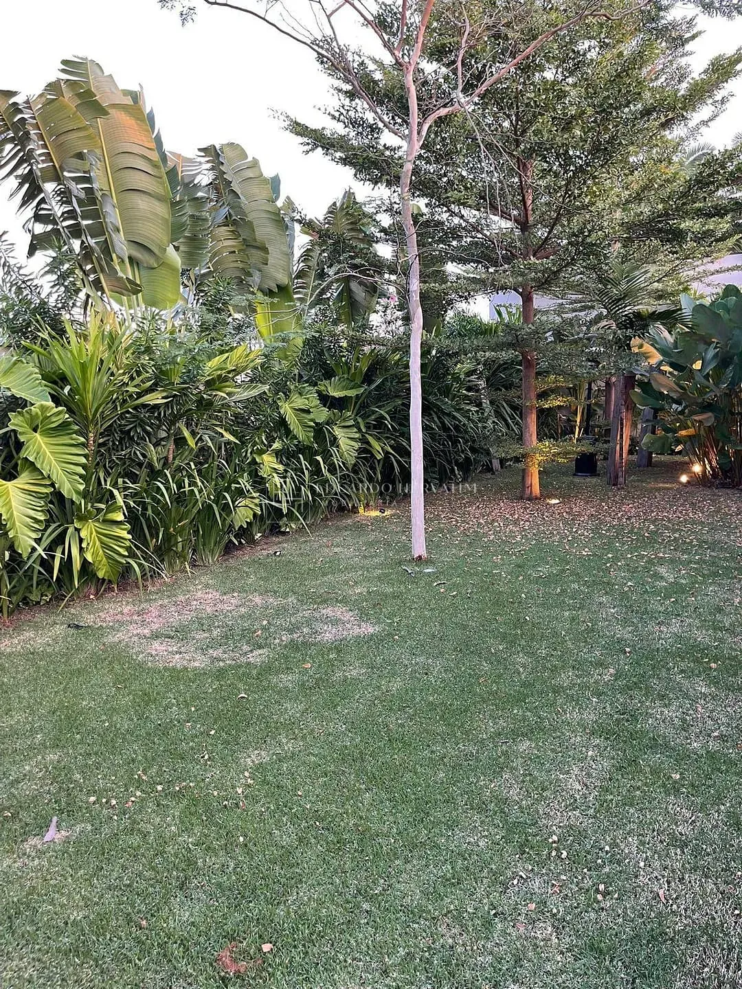 Casa, 4 quartos, 572 m² - Foto 6