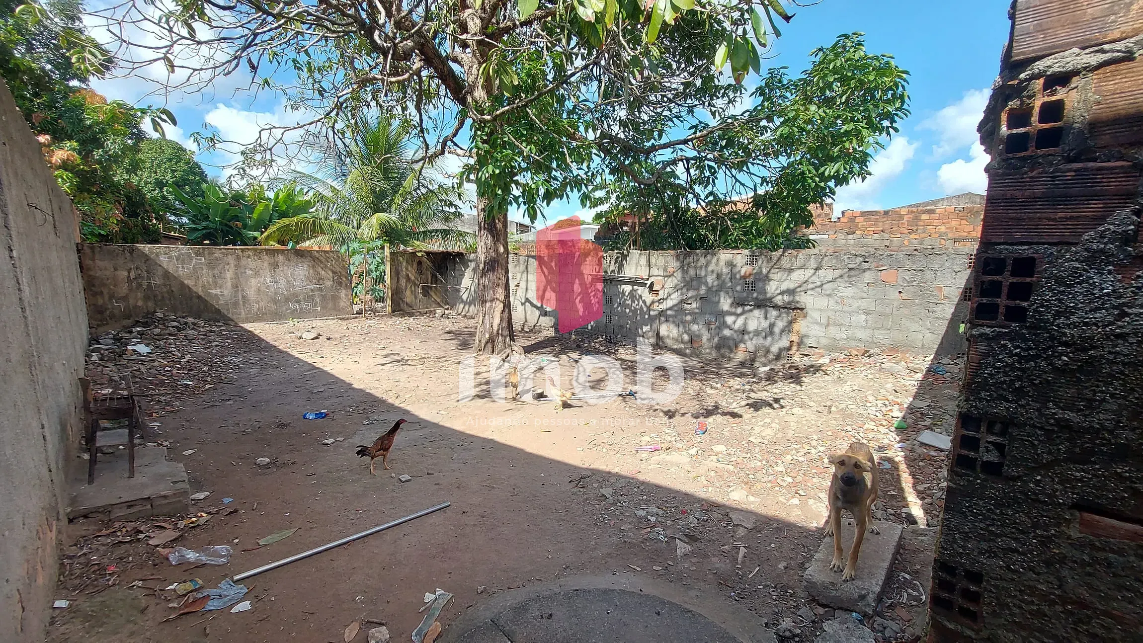 Casa, 2 quartos, 10 m² - Foto 3