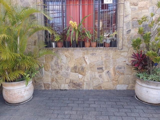 Foto do Casa - Casa Térrea a venda, Com 3 dormitórios, Quintal, Churrasqueira, Próximo ao Metrô São Judas. | Paulista Imóveis.