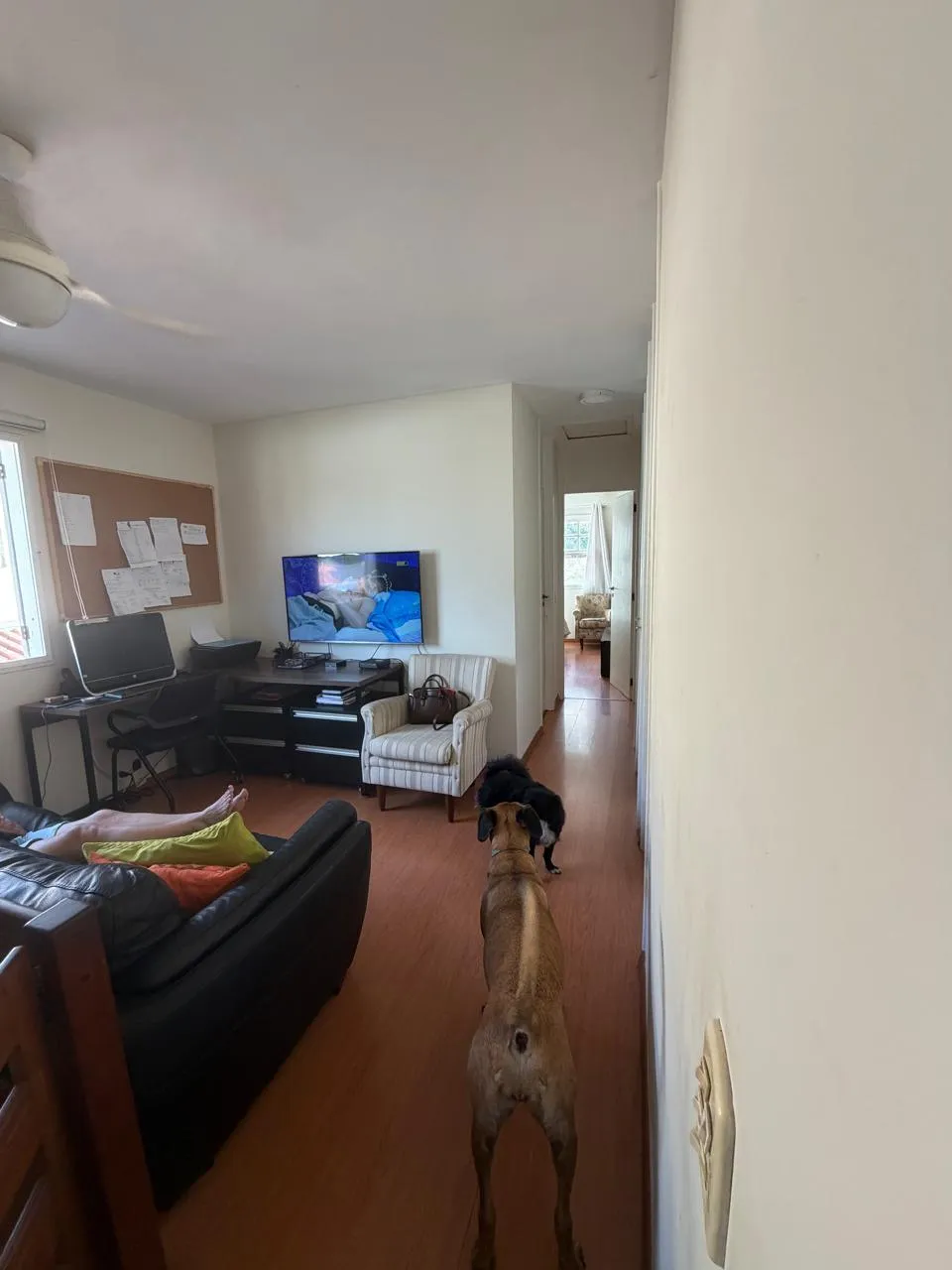 Casa, 5 quartos, 270 m² - Foto 15