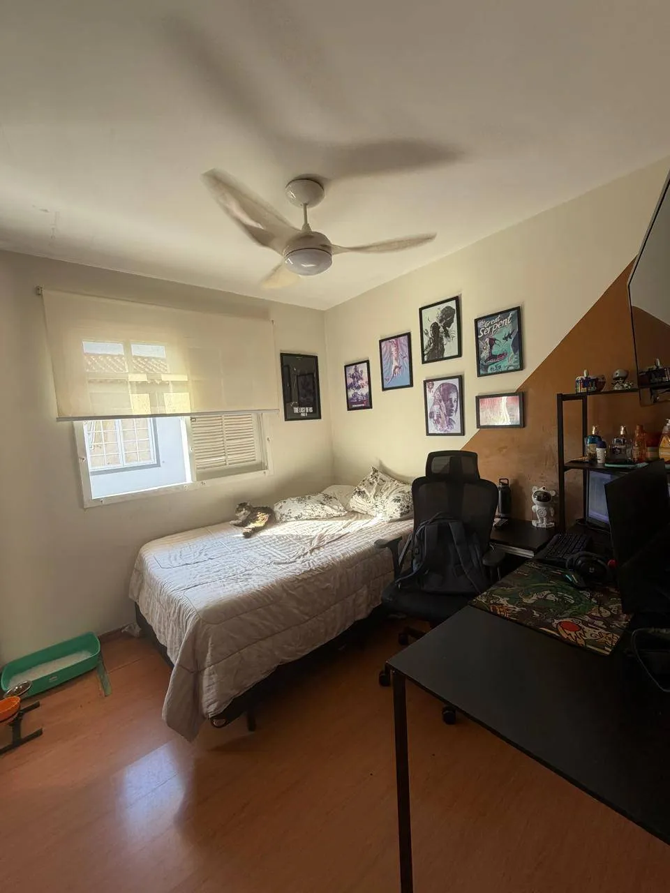 Casa, 5 quartos, 270 m² - Foto 16