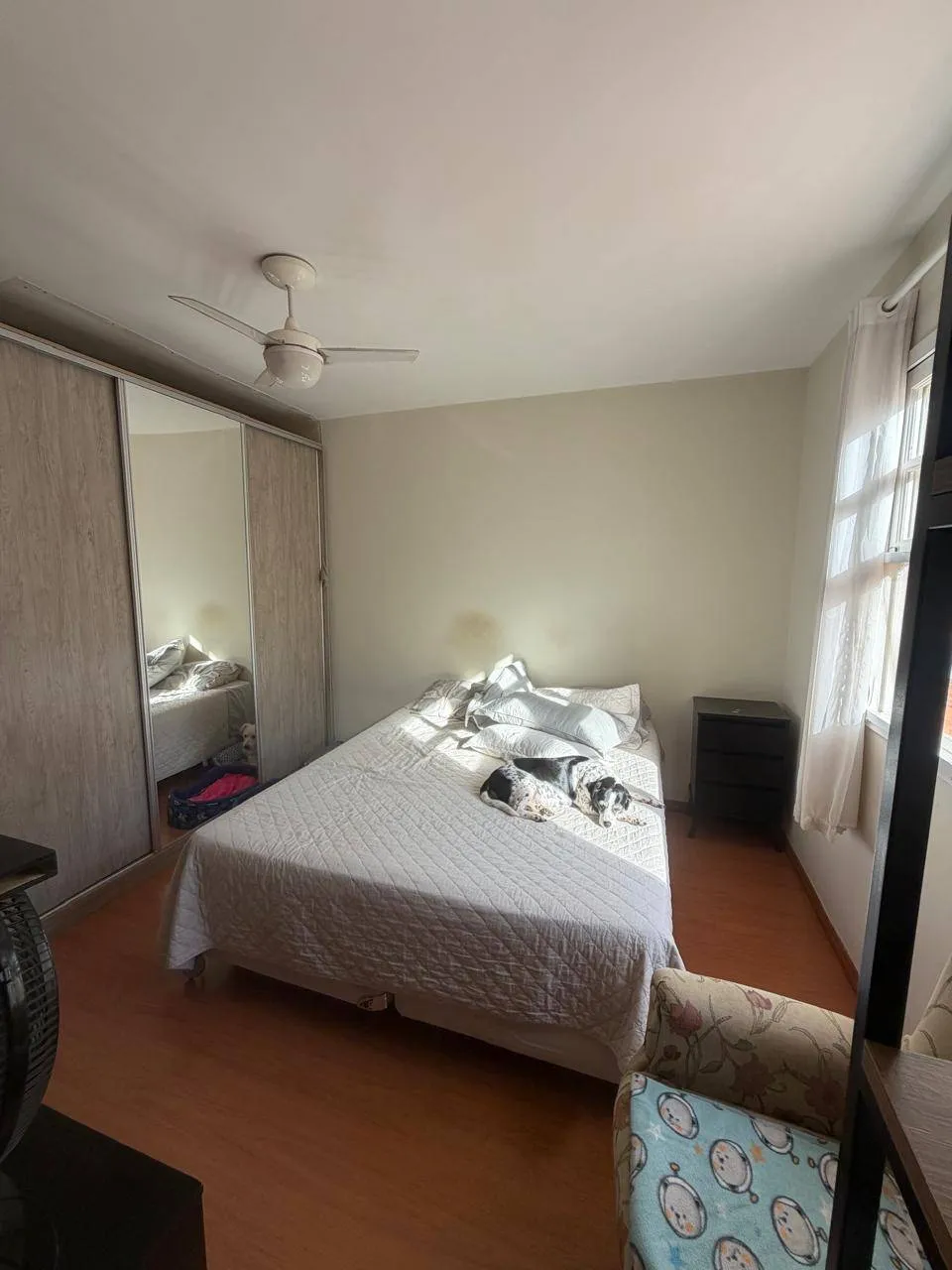 Casa, 5 quartos, 270 m² - Foto 19