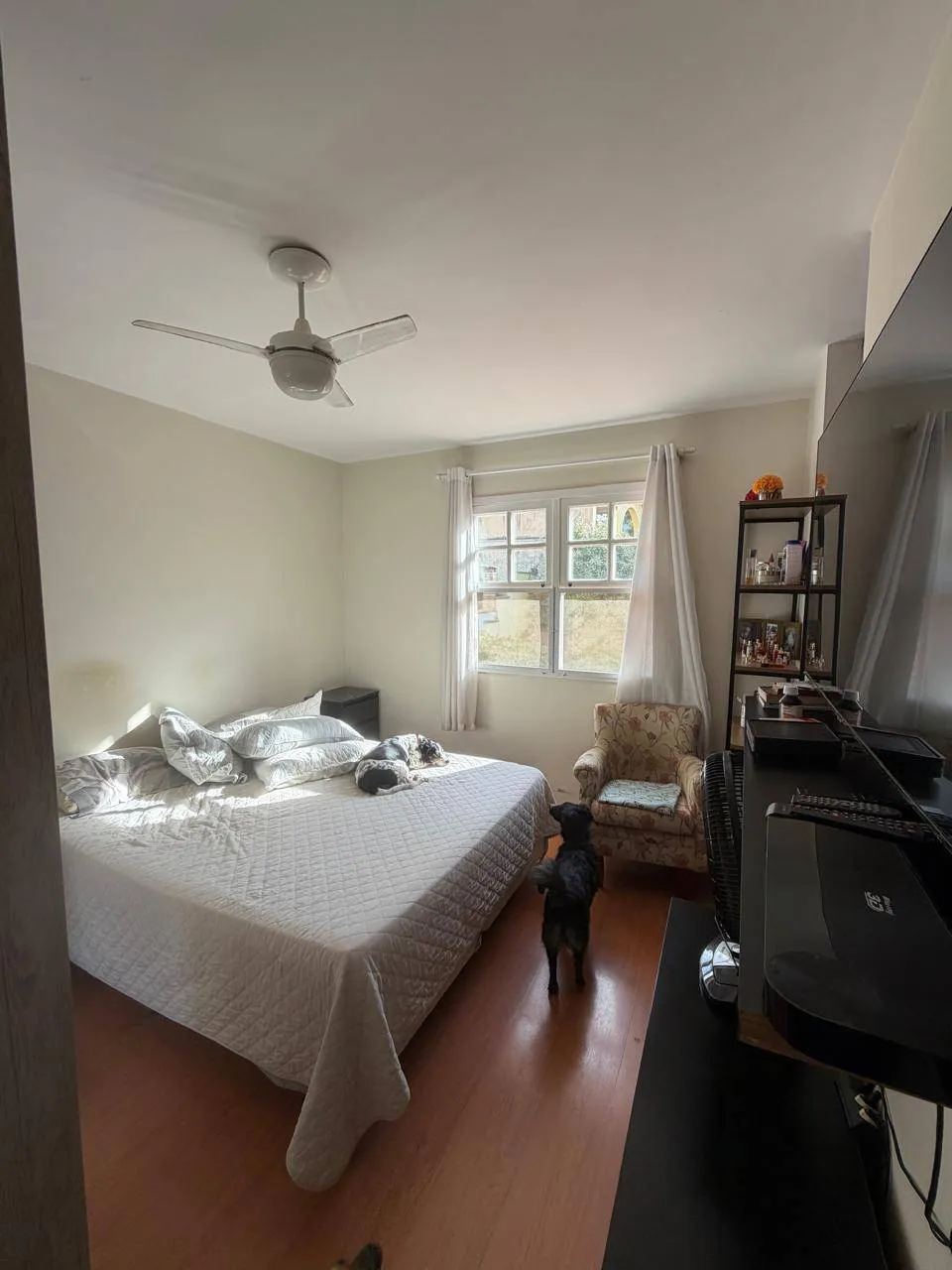 Casa, 5 quartos, 270 m² - Foto 18