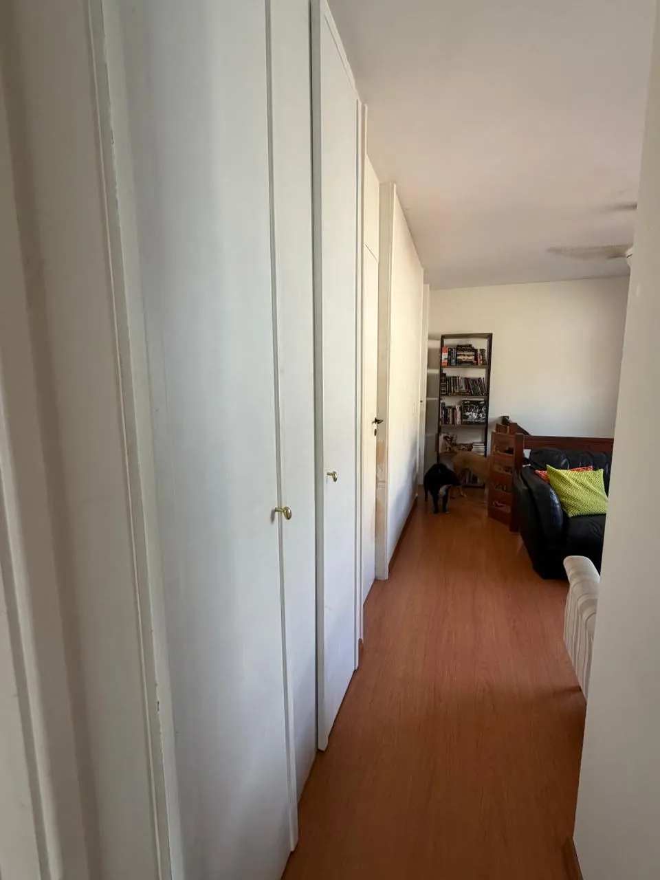 Casa, 5 quartos, 270 m² - Foto 23