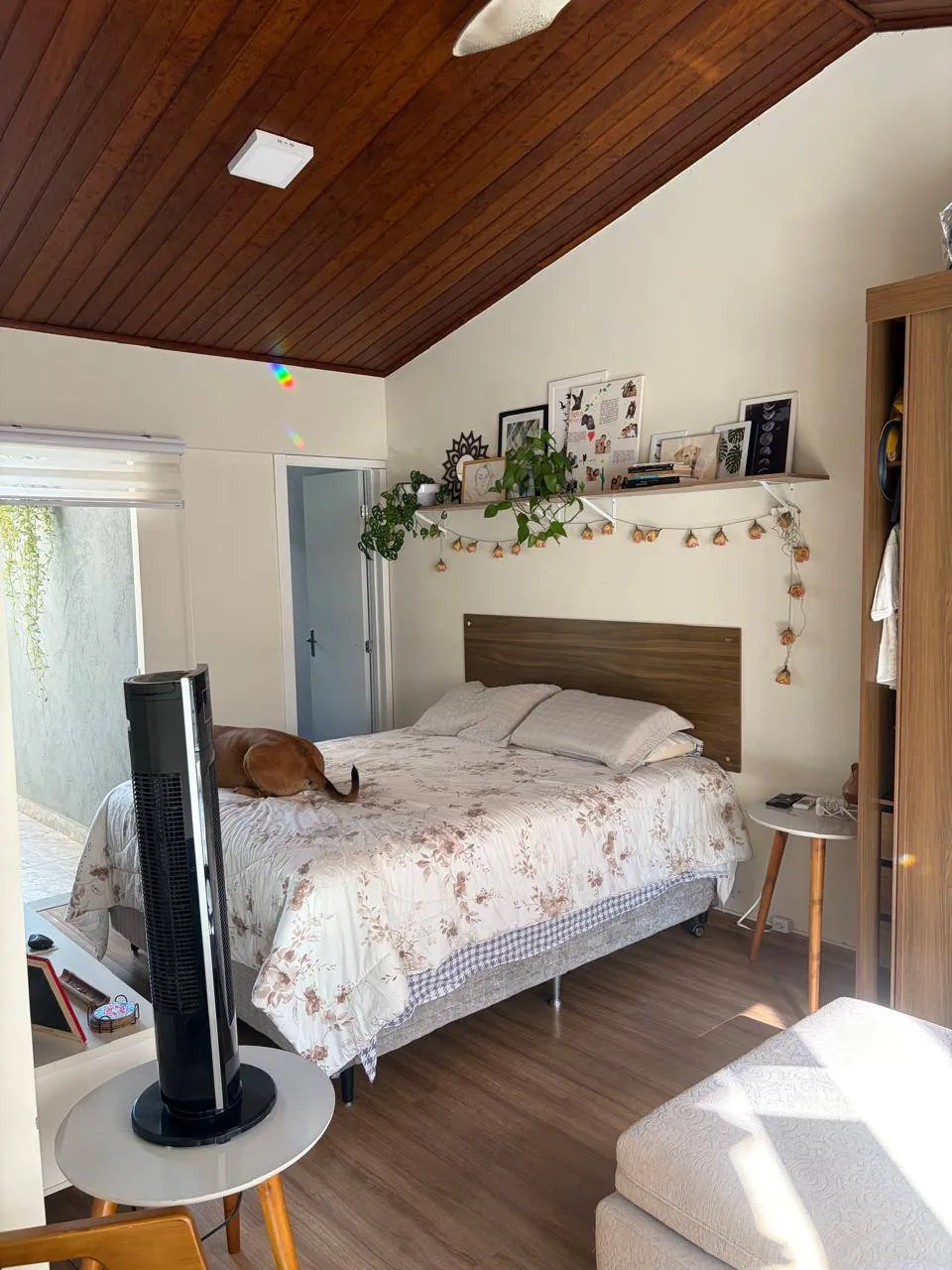 Casa, 5 quartos, 270 m² - Foto 6
