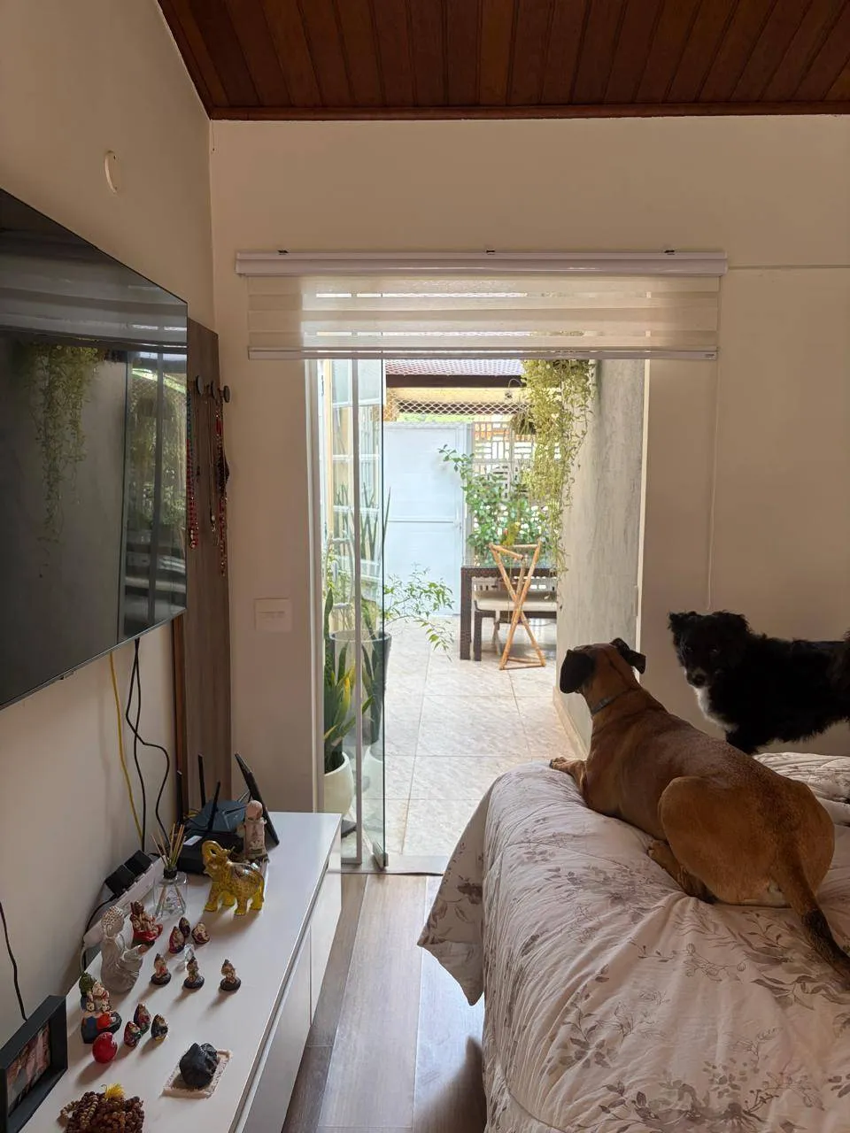Casa, 5 quartos, 270 m² - Foto 7