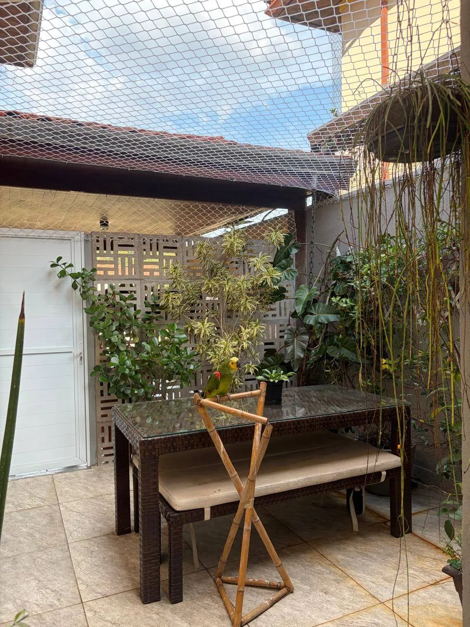 Casa, 5 quartos, 270 m² - Foto 9