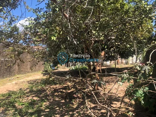 Terreno à venda, no bairro Novo Parque Iracema em Maranguape