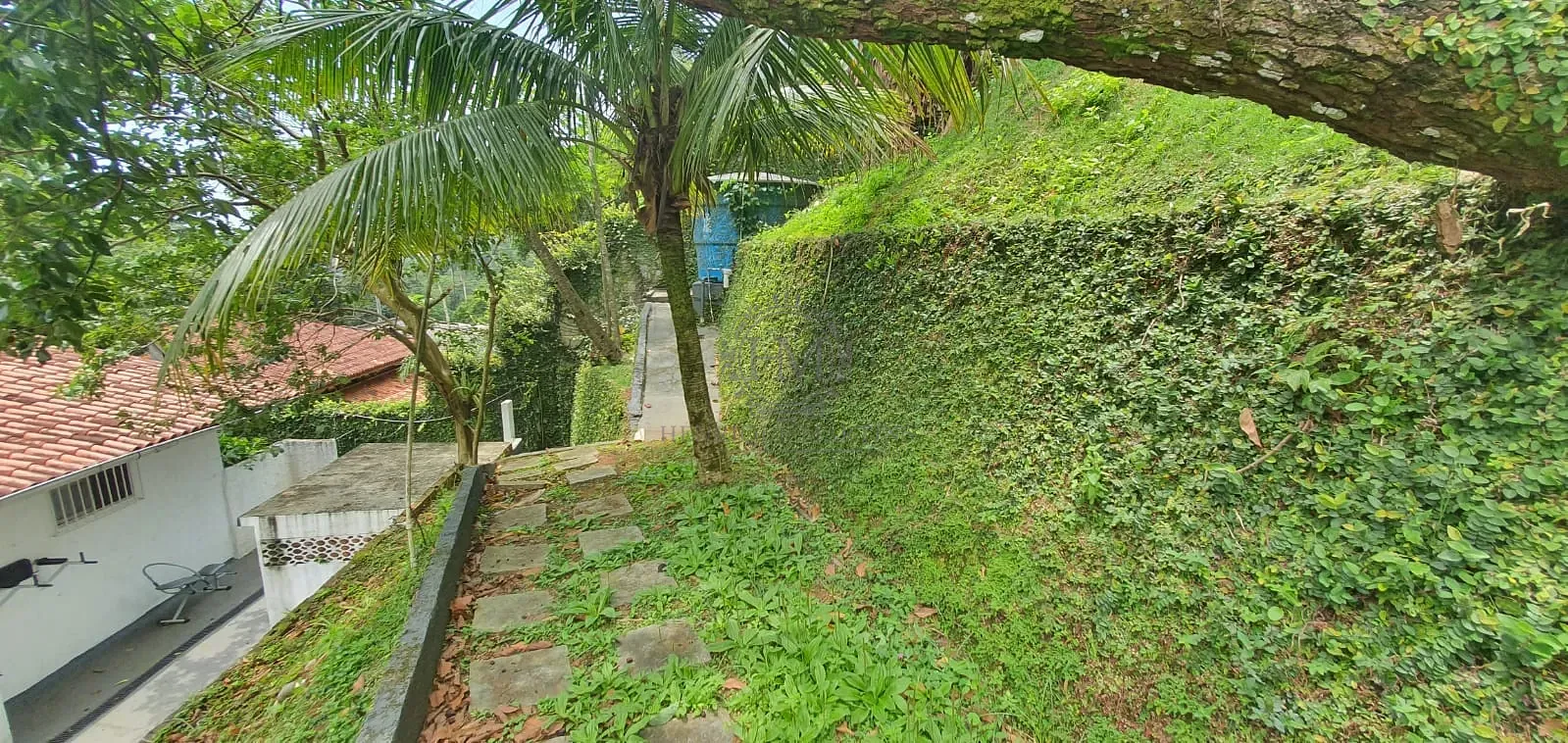 Casa, 4 quartos, 557 m² - Foto 25