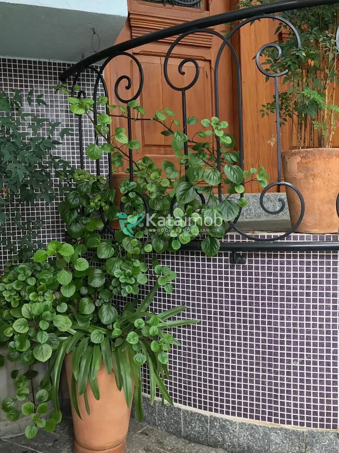 Casa, 2 quartos, 234 m² - Foto 45