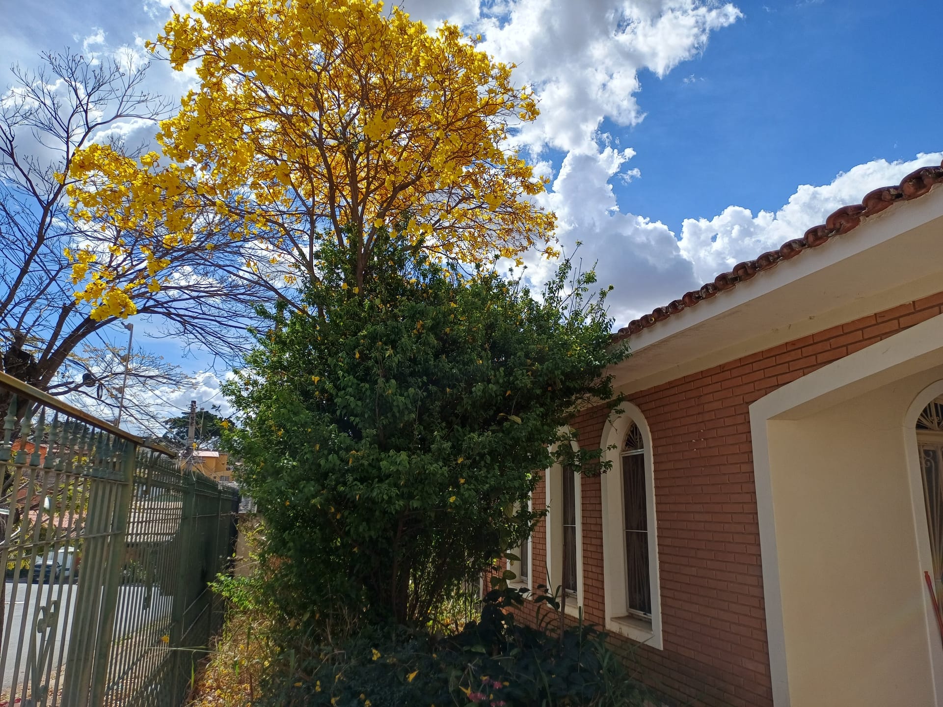 Casa, 5 quartos, 165 m² - Foto 1