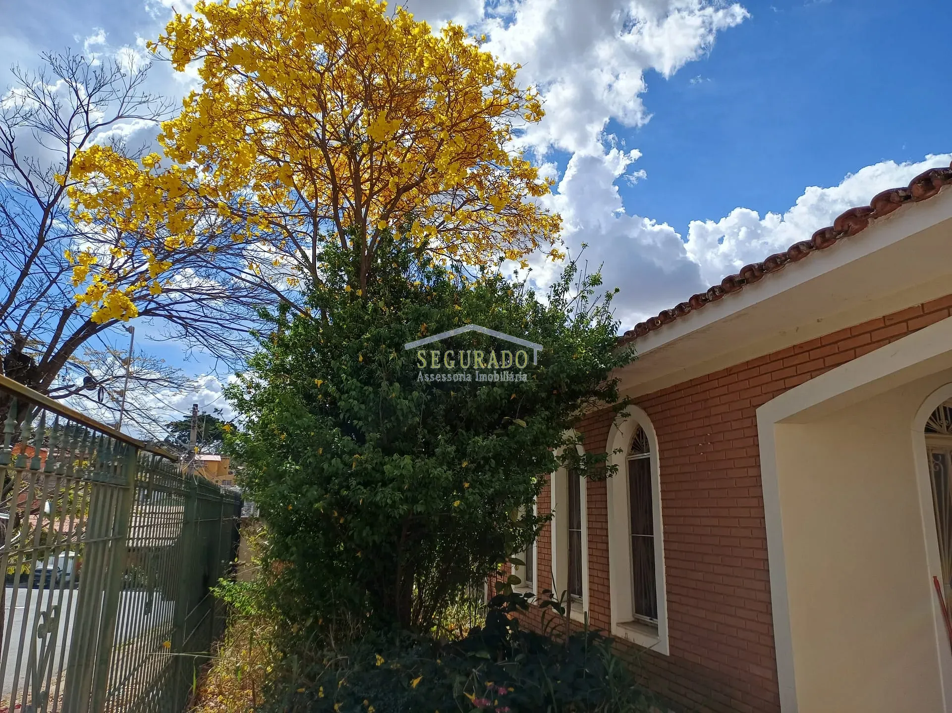 Casa, 5 quartos, 165 m² - Foto 1
