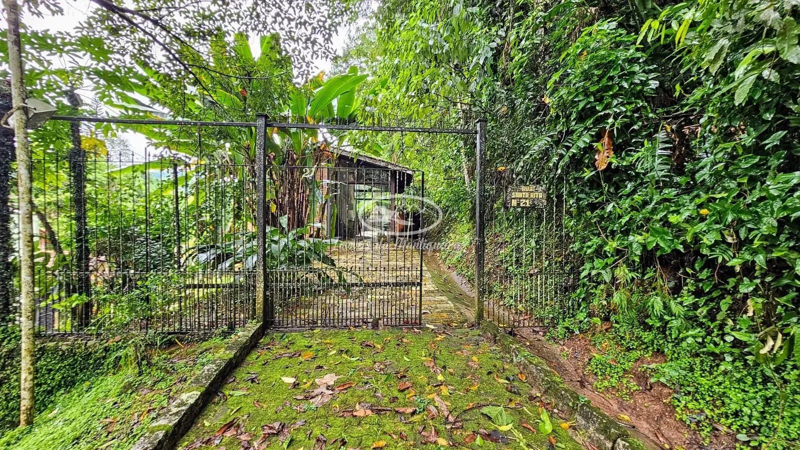 Casa, 5 quartos, 232 m² - Foto 3