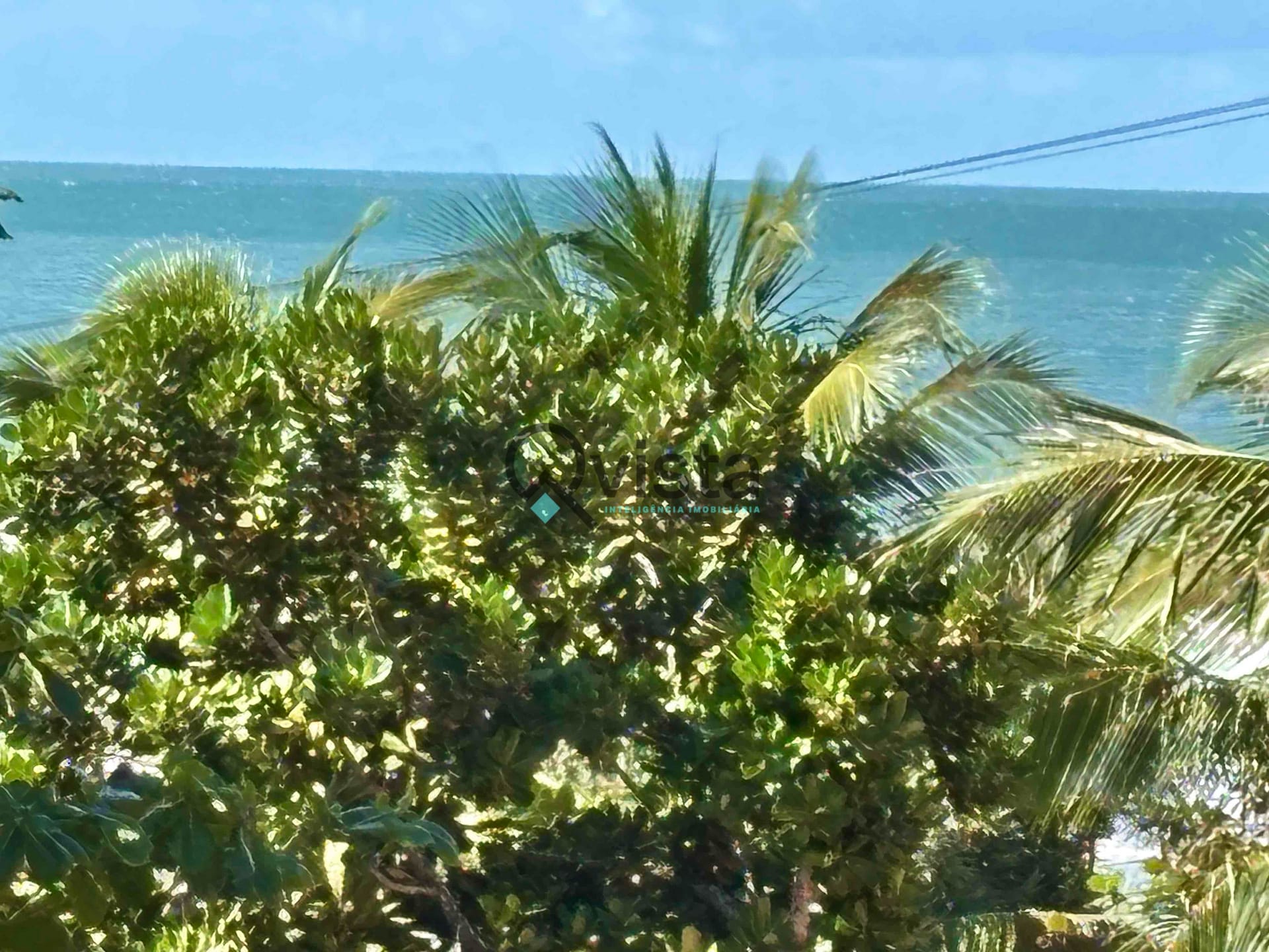 Casa, 5 quartos, 240 m² - Foto 51