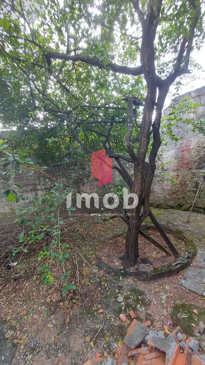 Casa, 4 quartos, 176 m² - Foto 8