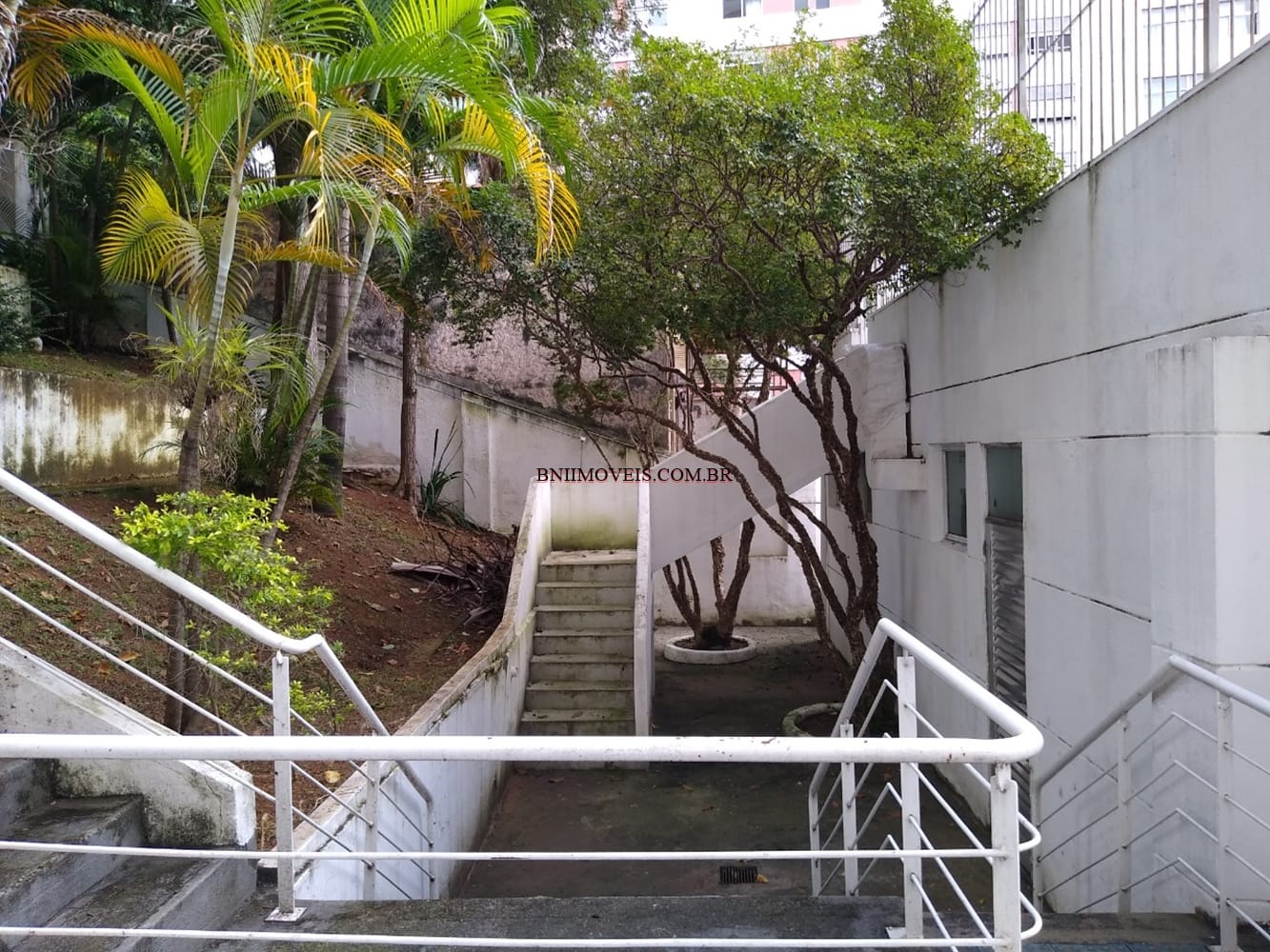 Casa, 5 quartos, 400 m² - Foto 4