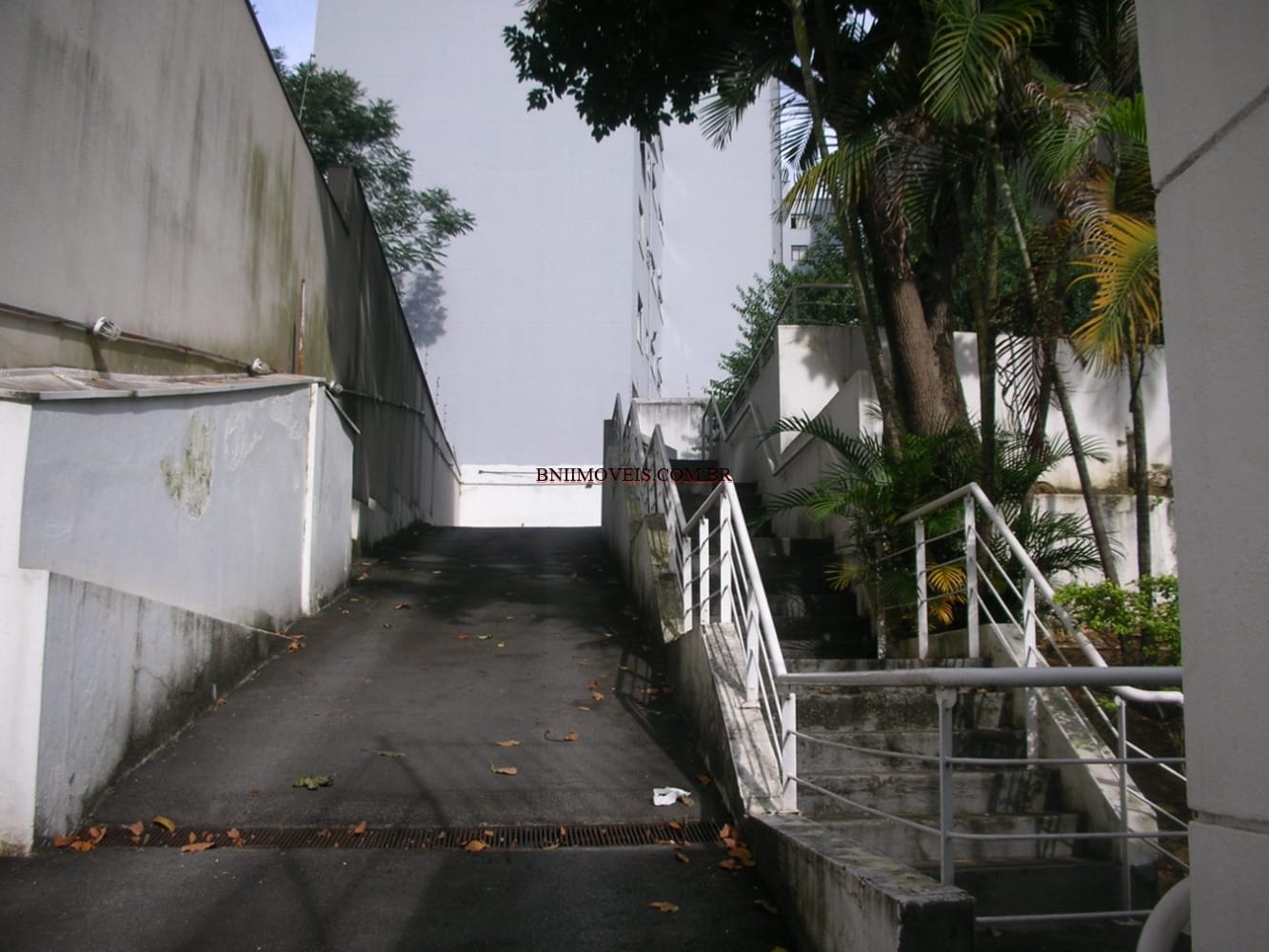 Casa, 5 quartos, 400 m² - Foto 9