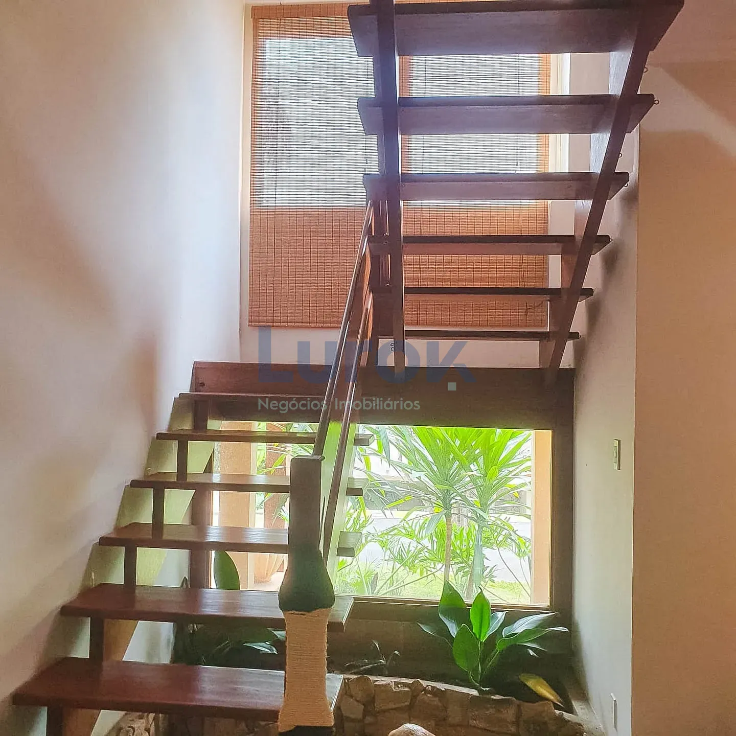 Casa, 3 quartos, 550 m² - Foto 10