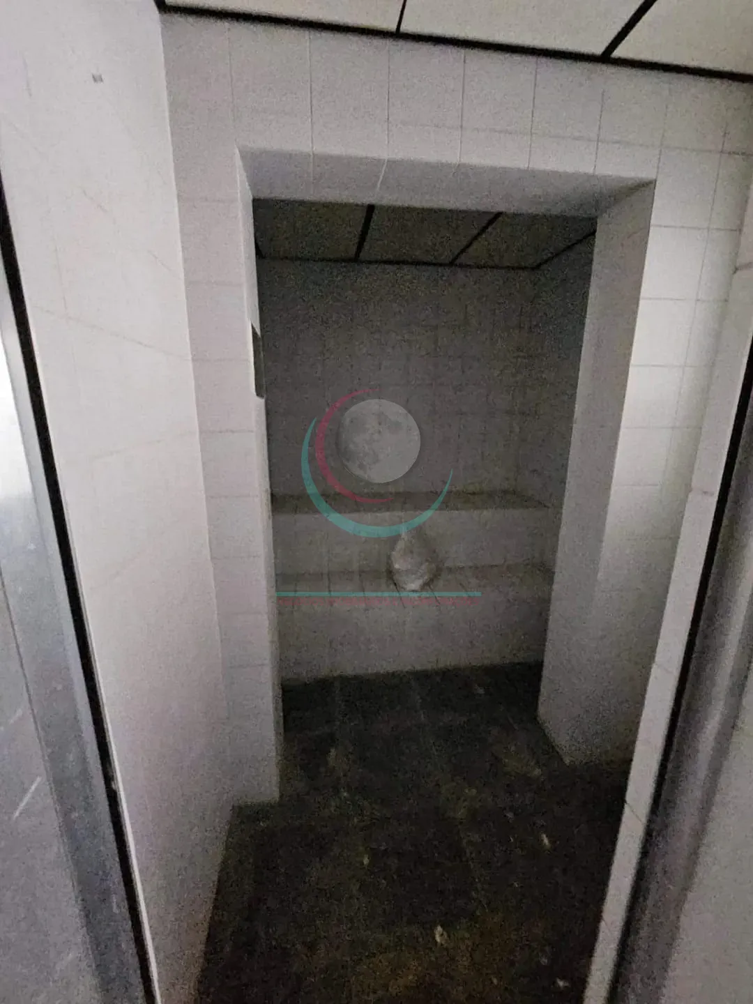 Casa, 4 quartos, 665 m² - Foto 30