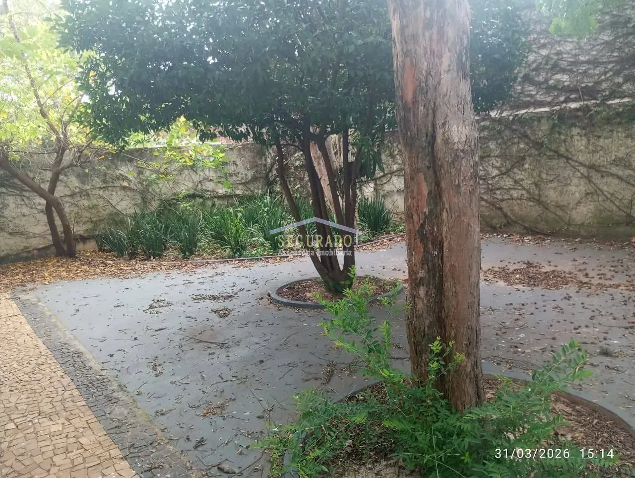 Casa, 1 quarto, 197 m² - Foto 49