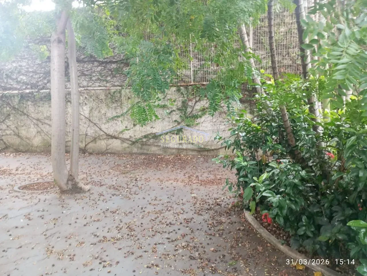 Casa, 1 quarto, 197 m² - Foto 47