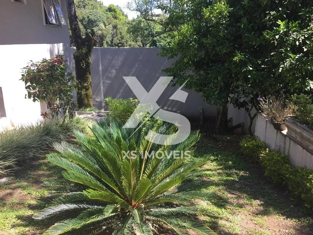 Casa, 3 quartos, 400 m² - Foto 39