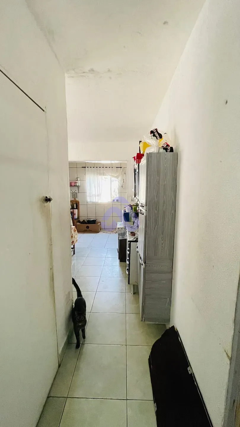 Casa, 5 quartos, 300 m² - Foto 14
