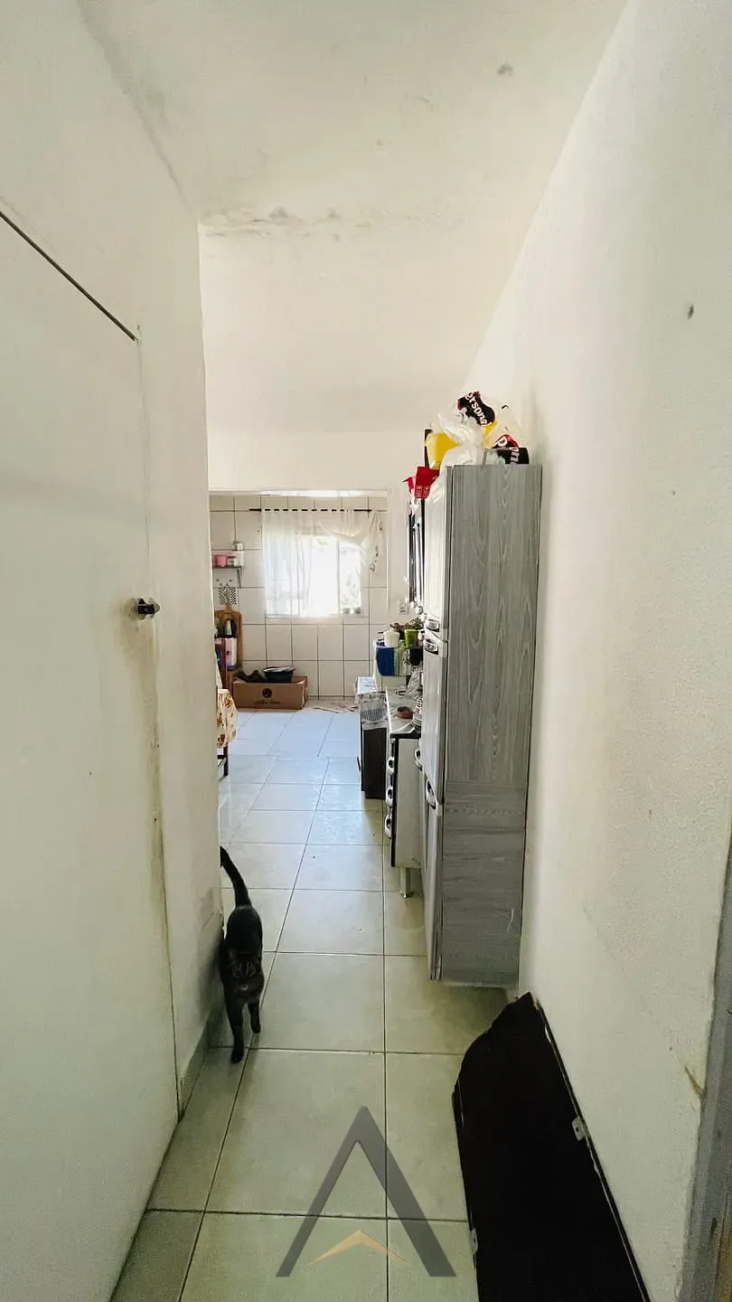 Casa, 5 quartos, 300 m² - Foto 12