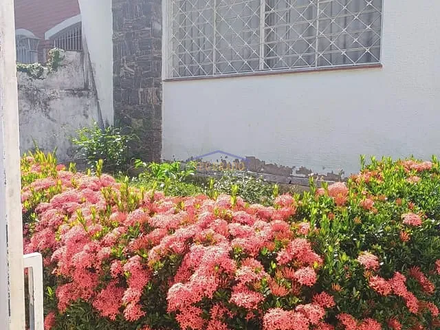 Casa 2 quartos e 2 banheiros, à venda, no bairro Cambuí em Campinas